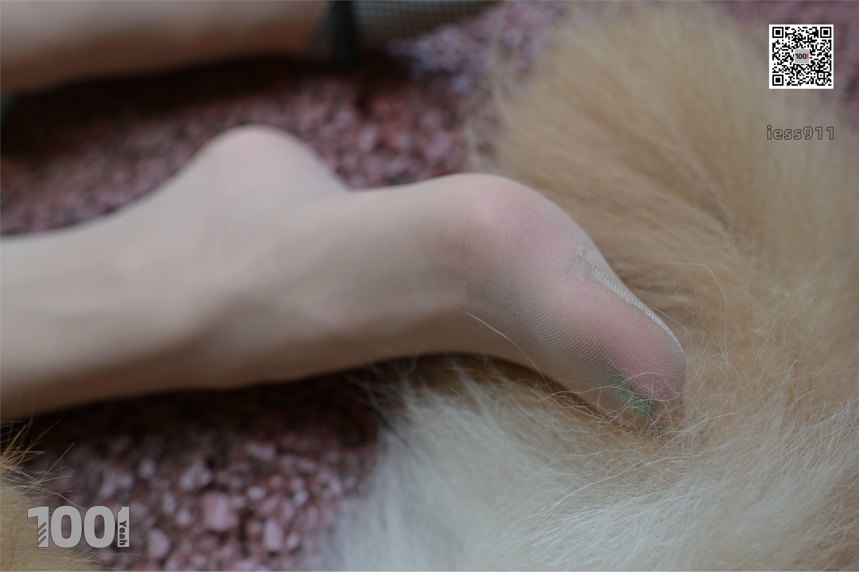 IESS异思趣向 一千零一夜 模特：真真《家有萌宠1》